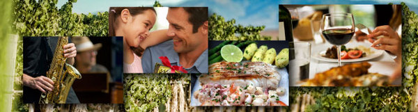 TVWA-Header_Summer